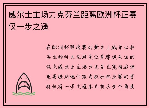威尔士主场力克芬兰距离欧洲杯正赛仅一步之遥